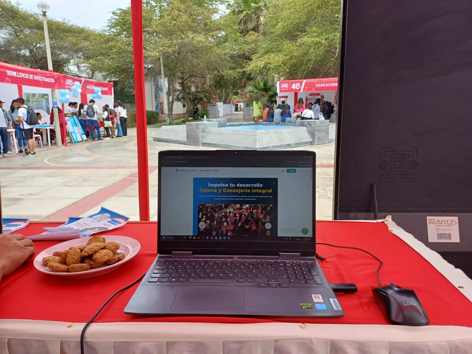 Sistema de Tutoría y Consejería UNS